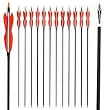 LWANO 31" Carbon Hunting Arrows Archery Target Practice Arrows with 5" Turkey Feathers Spine 500 for Recurve Bow and Compound Bow(Pack of 12) (7.8MM Orange)