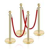 Stainless Steel Stanchion Post,5 FT Red Carpet Ropes, Stanchion Post with Ball Top, Hollow Base and Velvet Ropes Safety Barriers Set for Party.