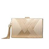 YAPAIOU Clutch Purses For Women Tassel Evening Clutch bag Cross Body & Shoulder Bag For Wedding Night out Party Champagne Gold