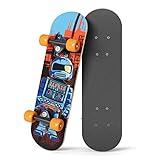 RUDEBOYS 17 Inch Mini Wooden Cruiser Graphic Beginner Skateboard (Robot Design)