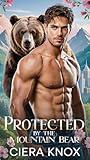 Protected by the Mountain Bear (Night Shift: Bears of Valor Book 4)