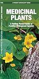 Medicinal Plants: A Folding Pocket Guide to Familiar Widespread Species (Nature Observation North America)