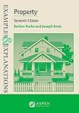 Examples & Explanations for Property (Examples & Explanations Series)