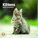 2025 Kittens Monthly Wall Calendar by Bright Day, 12 x 12 Inch Cute Cat Breed Gift