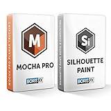 Boris FX Silhouette Paint + Mocha Pro Bundle, Annual Subscription OFX, USB Stick