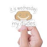 It is Wednesday My Dudes Sticker for Laptop, Internet Humor Viral Video Decal for Hydroflask, Funny Frog Vine Quote, Cute Gift for Pop Culture Fans and Meme Lovers