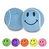 Smileyballs Pre-Cut Walker Tennis Ball Glides - 1 Pair (Blue)