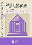 Examples & Explanations for Criminal Procedure: The Constitution and the Police (Examples & Explanations Series)