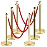 Stainless Steel Stanchion Post,Stanchions with Red Rope,Hollow Base and Velvet Ropes Safety Barriers Set,Carpet Runner for Party (6pack-Gold)