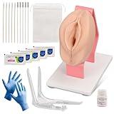 MedEduQuest Pelvic Health Model, Vaginal Training Model for Science Education, Gynecological Examination Anatomical Model for Demonstration