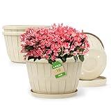 Quarut 10 inch Plastic Flower Pots for Indoor Plants，4 Pack Large Outdoor Planter Pot with Drainage Holes & Saucers，Imitation Wine Barrel Design，for Indoor Outdoor Garden Plants（White）