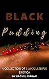 BLACK PUDDING: A COLLECTION OF BLACK LESBIAN EROTICA: VOLUME 1