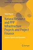 Natural Resource and PPP Infrastructure Projects and Project Finance: Business Theories and Taxonomies (Economics, Law, and Institutions in Asia Pacific)