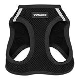 Voyager Step-In Air Dog Harness - All Weather Mesh, Reflective, No Pull Harness for Small, Medium Dogs, Cats - Secure with Hook & Loop Fastener, Buckle, Double D-Rings - Black/Black Trim, S
