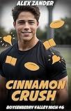 Cinnamon Crush: An LGBTQ+ Young Adult First Romance (Boysenberry Valley High Book 6)