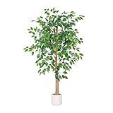 VIVATREES 5FT Artificial Ficus Tree with White Planter, Realistic Faux Silk Indoor Outdoor Plant for Home Office Living Room, Porch, Garden Decor