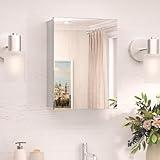 TokeShimi 14x18 Silver Recessed Medicine Cabinet with Mirror