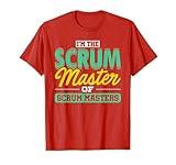 Scrum Master Lean Agile Project Management Funny Gift Shirt T-Shirt