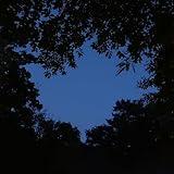 Things I Loved Most 1