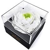 Fresh Cut Flower Preserved Peony for Women Mom Wife Girlfriend - Flower Gift Real Peony Decor for Mother's Day Valentine's Day Wedding Party Celebration Birthday Anniversary (White Fairy)