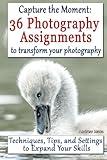 Capture the Moment: 36 Photo Assignments to Transform Your Photography: Techniques, Tips, and Settings to Expand Your Skills