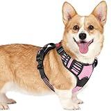 rabbitgoo Dog Harness Small Sized, No Pull Pet Harness with 3 Buckles, Adjustable Soft Padded Dog Vest with Instant Control Handle, Easy Walking Reflective Pet Vest for Small Dogs, Pink, S