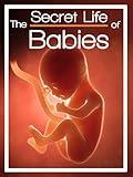 The Secret Life of Babies