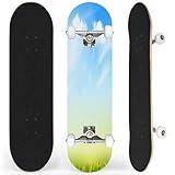 Complete Skateboard with Spring Nature Green Grass Blue Sky Beginner Skateboard 7-Layer Maple Wood Double Kick Concave Skateboards for Kids, Adults, Teens 31" x 8"