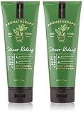 Bath & Body Works Aromatherapy Stress Relief Eucalyptus Spearmint Body Cream 8.0 oz, 226g (2 Pack)