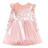 Flofallzique Toddler Velvet Dress Long Sleeves Girls Tulle Tutu Princess Dresses for Birthday Party (6,Dusty Pink)