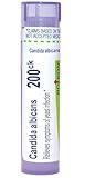 Boiron Candida Albicans 200Ck for Symptoms of Yeast Infection - 80 Pellets