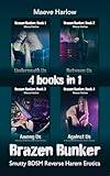 Brazen Bunker Bundle: Smutty Reverse Harem BDSM Romantic Erotica