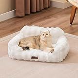 ZOMISIA Orthopedic Cat Couch Bed for Indoor Cats, Cute Pet Sofa with Supportive Egg Foam, Fluffy Faux Fur Removable Washable Cover and Non-Slip Bottom, Ivory White
