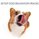 50 Top Dog Relaxation Tracks