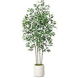 SOGUYI Ficus Artificial Tree 6ft Fake Silk Plant for Home Decor Indoor, Faux Floor Tree in White Imitation Ceramic Planter with Green Fake Moss for Home Office Corner Indoor Decor, Set of 1