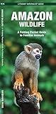 Amazon Wildlife: A Folding Pocket Guide to Familiar Animals (Nature Observation International)