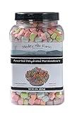 Assorted Dehydrated Marshmallows in Reusable Container by Medley hills farm - dehydrated marshmallow bits - Cereal marshmallows - Perfect mini marshmallows for hot chocolate