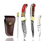 Multi Wood Unique Beautiful 6.5'' Custom Handmade Damascus Steel Brass Bolster Back Lock Folding Pocket Knife Sharpening Rod 100% Prime Quality Plus Beautiful Blue Wood Stainless Steel Pocket Knive