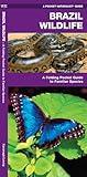 Brazil Wildlife: A Folding Pocket Guide to Familiar Animals (Nature Observation International)