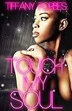 Touch My Soul: An Urban Fiction Love Story