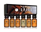 P&J Trading Spice Set of 6 Premium Grade Fragrance Oils - Cinnamon, Harvest Spice, Apple Cider, Coffee Cake, Gingerbread, Pumpkin Pie - 10ml