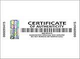 Holomarks 500 pcs Certificate of Authenticity Labels Security Stickers with Hologram Stripe 2.75 x 0.78 inch