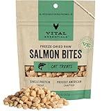 Vital Essentials Freeze Dried Raw Cat Treats, Salmon Bites, 1.1 oz