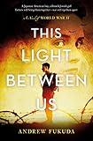 This Light Between Us: A Novel of World War II