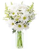 Bountiful Beauty Bouquet of Fresh White Daisies with Vase - Fall Collection - KaBloom Prime Next Day - Gift for Birthday, Thank You,Valentine, Mother’s Day Fresh Flowers