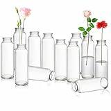 Lyellfe Set of 12 Glass Bud Vase, Clear Vases for Flowers, Small Vintage Floral Vase in Bulk for Centerpieces, Office, Dinning Table, Wedding Reception