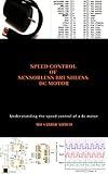 Speed Control of Sensorless Brushless DC Motor: brushless dc motor controller,permanent magnet dc motor,large dc motors,brushless electric motor,brushless dc motor,dc motors