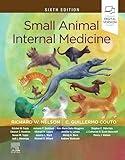 Small Animal Internal Medicine