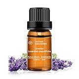 Lavender Essential Oil Single 100% Pure Natural Lavender Oil for Diffuser, Massage, Soap Making 10ML