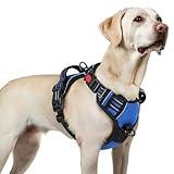 rabbitgoo Dog Harness for Large, No Pull Pet Harness with 3 Buckles, Adjustable Soft Padded Vest with Control Handle, Walking Reflective Pet Vest for Large Dogs, Blue, L